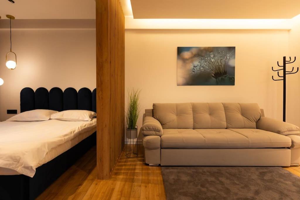Nest Inn Azure Apartment Kaloşvar Dış mekan fotoğraf